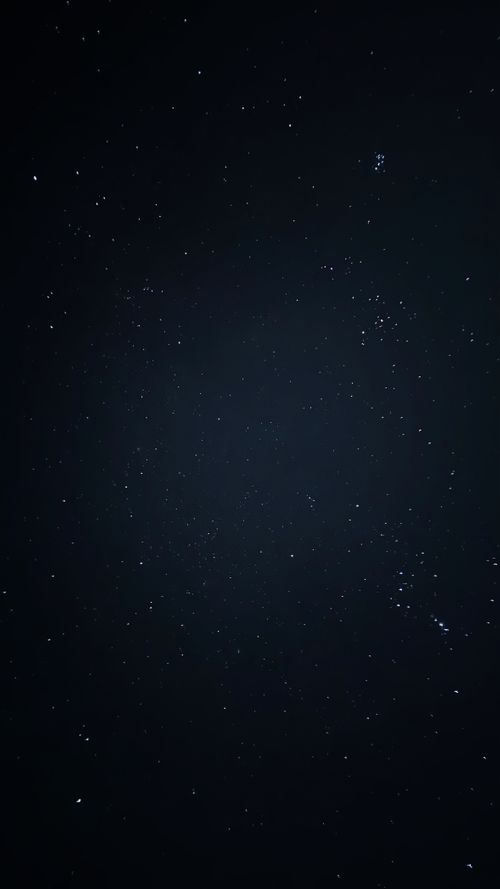 一家大集結の年末連泊ファミキャン🏕神イベぇぇぇ！ 三原市 棲真寺山オートキャンプ場 ファミリーキャンプ 区画サイト オートサイト はるかさんのキャンプブログ CAMPiii（キャンピー） -キャンプ専用SNS キャンプのすべてがここに集まる-