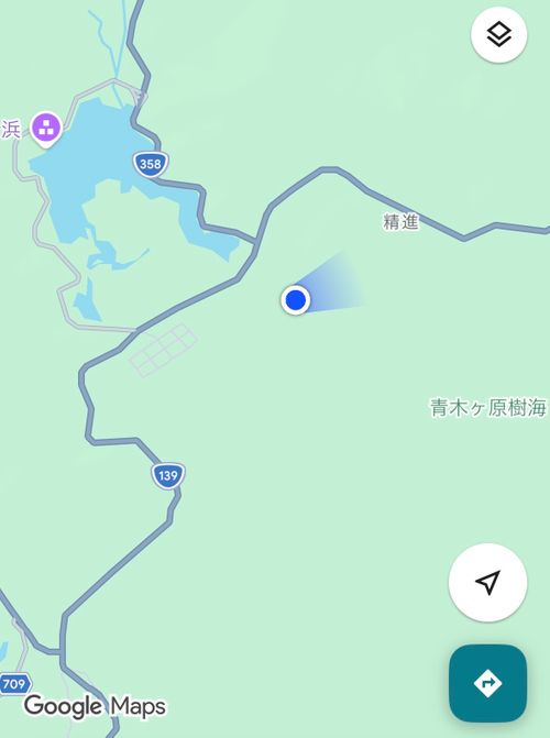 キャンプ解禁🎉＆乾杯🍻青木ヶ原樹海を歩く!? 「フラット登山」第2弾 DOTEKAGE CAMP GROUND 区画サイト Jimko☆さんのキャンプブログ CAMPiii（キャンピー） -キャンプ専用SNS キャンプのすべてがここに集まる-