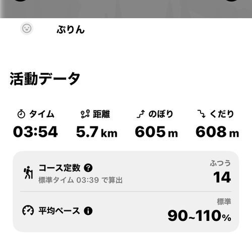 全力中年の夏休み✨は山にsupに盛りだくさん٩(ˊᗜˋ*)و♪ 本栖湖いこいの森キャンプ場 グループキャンプ 区画サイト ぷりんさんのキャンプブログ CAMPiii(キャンピー) -キャンプ専用SNS キャンプのすべてがここに集まる-