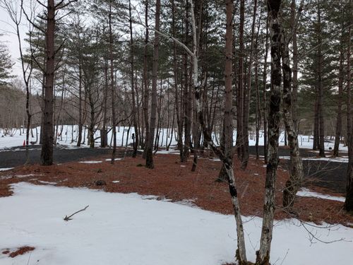 セリ鍋が食いたくて仙台まで来ました IZUMI PEAK BASE （泉ピークベース） ソロキャンプ 区画サイト 俺の酒場は野にあるさんのキャンプブログ CAMPiii（キャンピー） -キャンプ専用SNS キャンプのすべてがここに集まる-