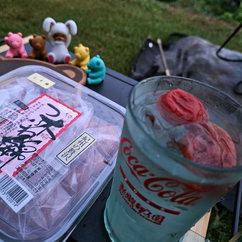 俺のあそび043 和歌山は海だけじゃない‼️ くつろぎたい理想郷がそこにはあった‼️ くつろぎたいのも山々 ソロキャンプ フリーサイト くまくまさんのキャンプブログ CAMPiii(キャンピー) -キャンプ専用SNS キャンプのすべてがここに集まる-