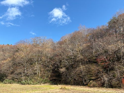 東北プリン会　開幕？ キャンプグランド・ベアーベル ソロキャンプ グループキャンプ フリーサイト ぱぱちょさんのキャンプブログ CAMPiii（キャンピー） -キャンプ専用SNS キャンプのすべてがここに集まる-