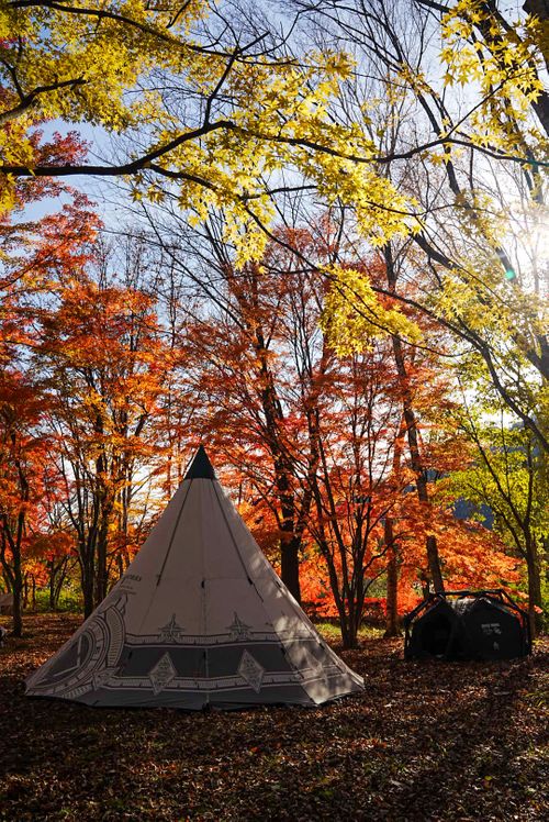 コレぞTHE紅葉キャンプ🍁酒より景色を楽しむキャンプ🏕️ ちばむらオートキャンパーズリゾート（旧高原千葉村） skitさんのキャンプブログ CAMPiii（キャンピー） -キャンプ専用SNS キャンプのすべてがここに集まる-