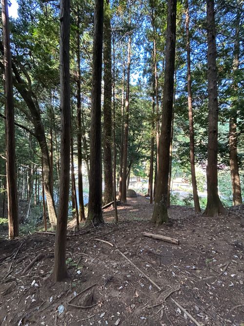 久しぶりのWOODSMAN WOODSMAN CAMPGROUND ソロキャンプ フリーサイト Genさんのキャンプブログ CAMPiii（キャンピー） -キャンプ専用SNS キャンプのすべてがここに集まる-