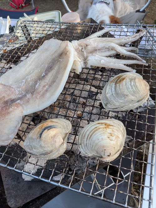 ハスラーが気になる(標高 約150m)(RVパーク(区画、電源付) 3000円)) RVパーク 七里川 ソロキャンプ グループキャンプ オートサイト 区画サイト IZUIZUさんのキャンプブログ CAMPiii（キャンピー） -キャンプ専用SNS キャンプのすべてがここに集まる-