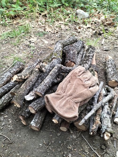 薪拾い放題！！ 月川荘キャンプ場 林間サイト ソロキャンプ フリーサイト ぼっちオヤジさんのキャンプブログ CAMPiii（キャンピー） -キャンプ専用SNS キャンプのすべてがここに集まる-