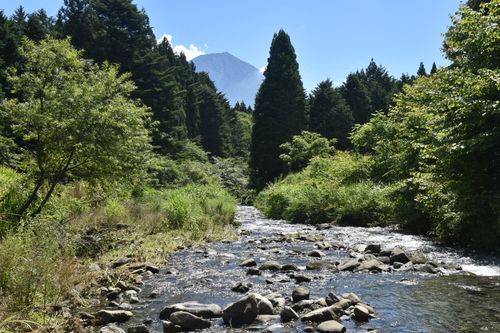 No.14 みーんなあつまれ ペンギン村 オートキャンプ場 ファミリーキャンプ 区画サイト まささんのキャンプブログ CAMPiii(キャンピー) -キャンプ専用SNS キャンプのすべてがここに集まる-
