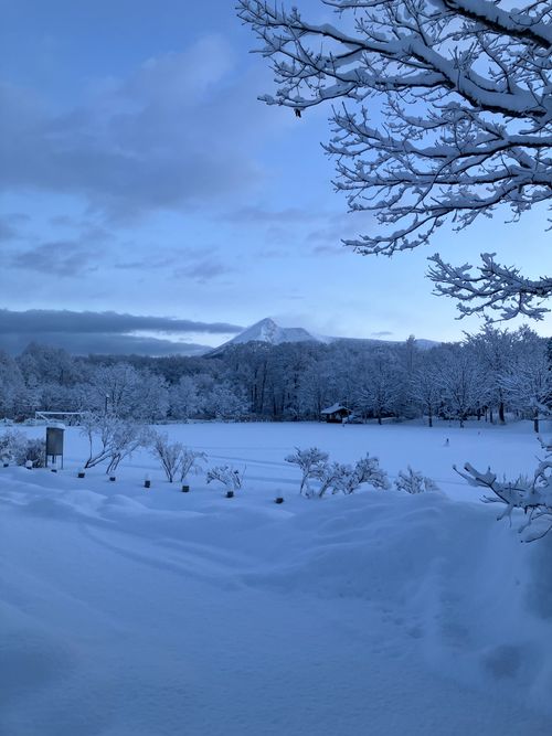 ファンガーデンリモ！ Fun Garden Rimo ソロキャンプ フリーサイト siroさんのキャンプブログ CAMPiii（キャンピー） -キャンプ専用SNS キャンプのすべてがここに集まる-