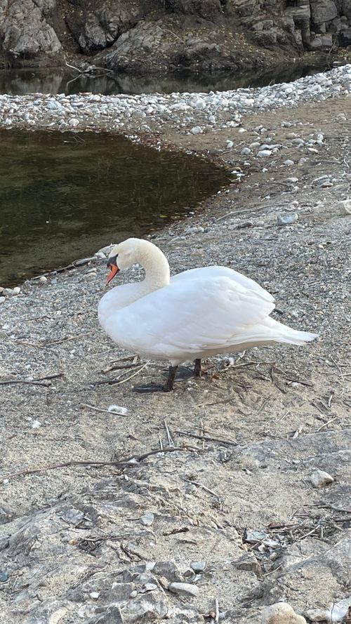 晩秋の大原湖 ふれあいパーク大原湖 ファミリーキャンプ 区画サイト オートサイト フォレキャンさんのキャンプブログ CAMPiii（キャンピー） -キャンプ専用SNS キャンプのすべてがここに集まる-