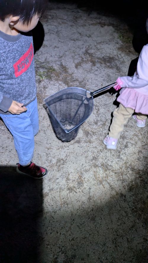 久しぶりの連泊キャンプ（ハーモニーランド付き） 野遊び浜キャンプ場 ファミリーキャンプ フリーサイト ヒゲキャンさんのキャンプブログ CAMPiii（キャンピー） -キャンプ専用SNS キャンプのすべてがここに集まる-