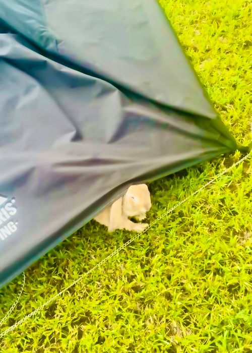 初めてのキャンプ場?でおじうさ+○○キャン△ in 阿川ほうせんぐり海浜公園 〜 CAMP NO.149 阿川ほうせんぐり海浜公園 ソロキャンプ ファミリーキャンプ フリーサイト おじキャン△さんのキャンプブログ CAMPiii(キャンピー) -キャンプ専用SNS キャンプのすべてがここに集まる-