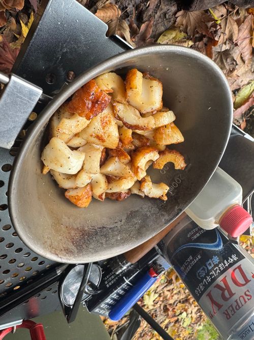 pica表富士2025シーズン終了 PICA表富士 ソロキャンプ グループキャンプ フリーサイト まっつんさんのキャンプブログ CAMPiii（キャンピー） -キャンプ専用SNS キャンプのすべてがここに集まる-