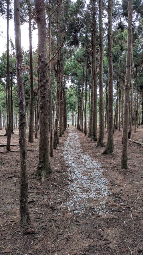 キャンプ再開して、同じとこへ　No.45 South One Village 館山 グループキャンプ ソロキャンプ 区画サイト すーつさんのキャンプブログ CAMPiii（キャンピー） -キャンプ専用SNS キャンプのすべてがここに集まる-