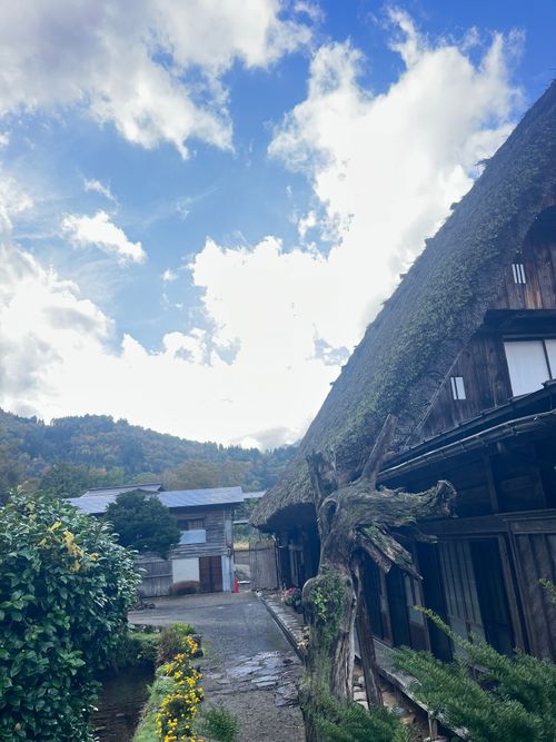 三連休とあらば、西を目指して…🚗💨 閑乗寺公園 キャンプ場 ソロキャンプ 区画サイト まっつんさんのキャンプブログ CAMPiii（キャンピー） -キャンプ専用SNS キャンプのすべてがここに集まる-