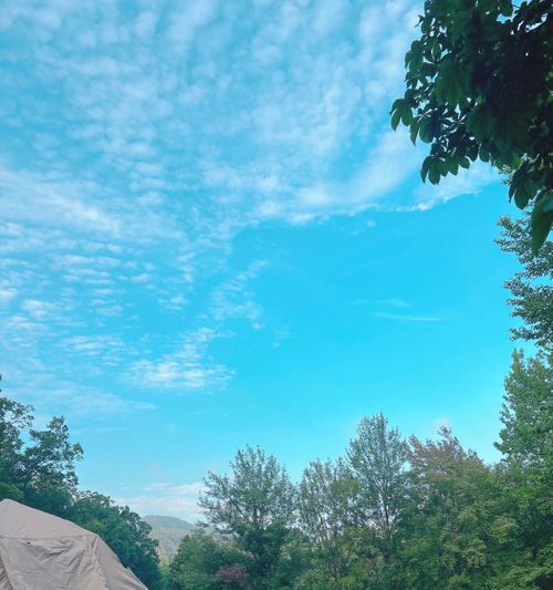 猛暑日を楽しもう🔥真夏の女子ソログル 霊山こどもの村キャンプ場 Oniyomeさんのキャンプブログ CAMPiii(キャンピー) -キャンプ専用SNS キャンプのすべてがここに集まる-