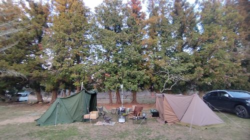 あけましておめでとうごニャイます！🐱（byまきお） ラピュタファームキャンプ場 グループキャンプ フリーサイト スローライフに憧れるさんのキャンプブログ CAMPiii（キャンピー） -キャンプ専用SNS キャンプのすべてがここに集まる-