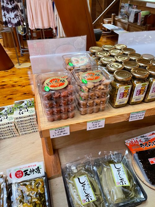 清流が目の前にある最高のロケーション!徒歩ソロで行く大鳩園キャンプ場 大鳩園キャンプ場 ソロキャンプ フリーサイト ma9さんのキャンプブログ CAMPiii(キャンピー) -キャンプ専用SNS キャンプのすべてがここに集まる-
