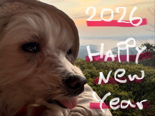 CAMPiii（キャンピー） ちろ犬さんのキャンプブログ 第92話　出雲は美味しい街だった！ 平田森林公園キャンプ場