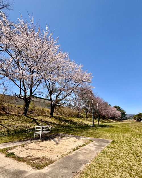 【番外編】駐屯地でお花見するっちゃ〜🌸🌸🌸 陸上自衛隊 福島駐屯地 Oniyomeさんのキャンプブログ CAMPiii（キャンピー） -キャンプ専用SNS キャンプのすべてがここに集まる-