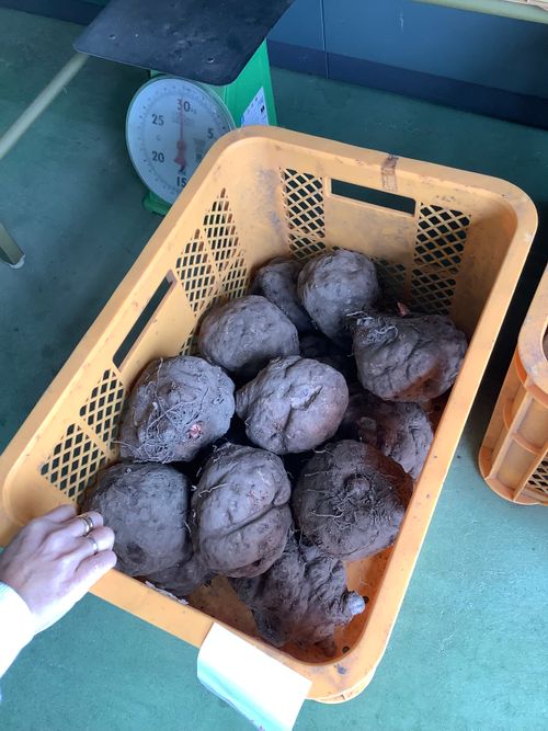 Vol.105 25/NO.24 笛吹小屋キャンプ場〜中津峡〜〆ホルモン屋‼️ 笛吹小屋キャンプ場 ソロキャンプ 区画サイト 🔥焚き火🔥さんのキャンプブログ CAMPiii(キャンピー) -キャンプ専用SNS キャンプのすべてがここに集まる-