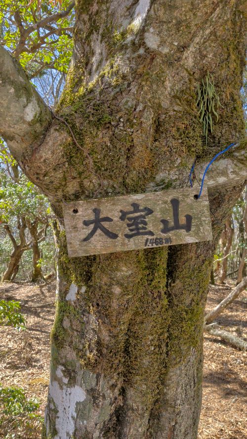 久々のふもとっぱら ふもとっぱらキャンプ場 ソロキャンプ グループキャンプ フリーサイト オートサイト IZUIZUさんのキャンプブログ CAMPiii（キャンピー） -キャンプ専用SNS キャンプのすべてがここに集まる-