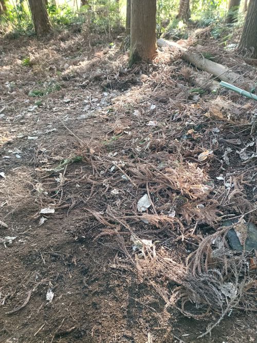 キャンプというよりも、、、焚火をしに。 Freedom ソロキャンプ フリーサイト Kazu Aさんのキャンプブログ CAMPiii（キャンピー） -キャンプ専用SNS キャンプのすべてがここに集まる-