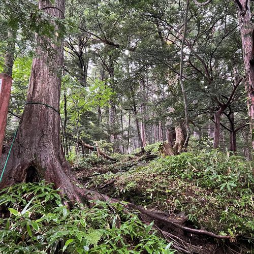 I miss HOTAKA⛰️ 徳沢キャンプ場 ソロキャンプ フリーサイト shuさんのキャンプブログ CAMPiii(キャンピー) -キャンプ専用SNS キャンプのすべてがここに集まる-