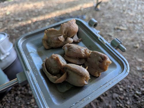 新幕試し張りソロ クアハウス山小屋 ソロキャンプ 区画サイト 週末スナフキンさんのキャンプブログ CAMPiii(キャンピー) -キャンプ専用SNS キャンプのすべてがここに集まる-