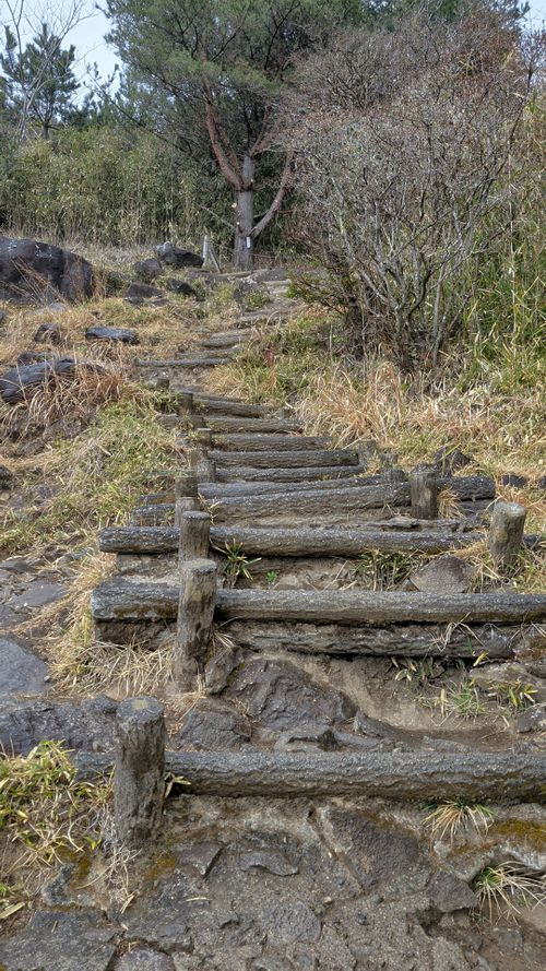 ハスラーが気になる(標高 約150m)(RVパーク(区画、電源付) 3000円)) RVパーク 七里川 ソロキャンプ グループキャンプ オートサイト 区画サイト IZUIZUさんのキャンプブログ CAMPiii（キャンピー） -キャンプ専用SNS キャンプのすべてがここに集まる-