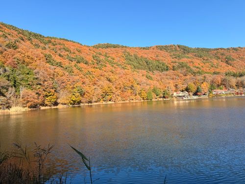 毎年行きたいキャンプ場 四尾連湖 水明荘キャンプ場 ソロキャンプ 区画サイト フリーサイト Ryo-hateさんのキャンプブログ CAMPiii（キャンピー） -キャンプ専用SNS キャンプのすべてがここに集まる-