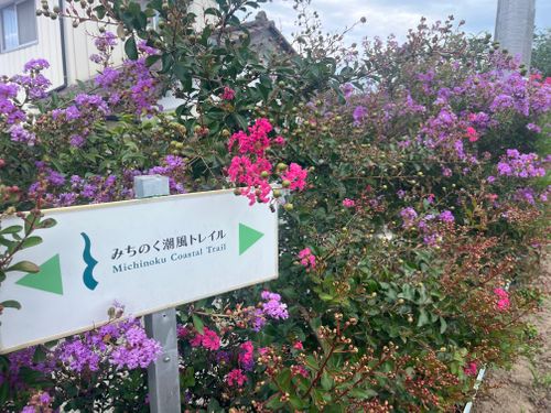 みちのく潮風トレイル 福島 相馬編 貸し切りができる小さなキャンプ場 beeto ソロキャンプ 区画サイト まっつんさんのキャンプブログ CAMPiii(キャンピー) -キャンプ専用SNS キャンプのすべてがここに集まる-