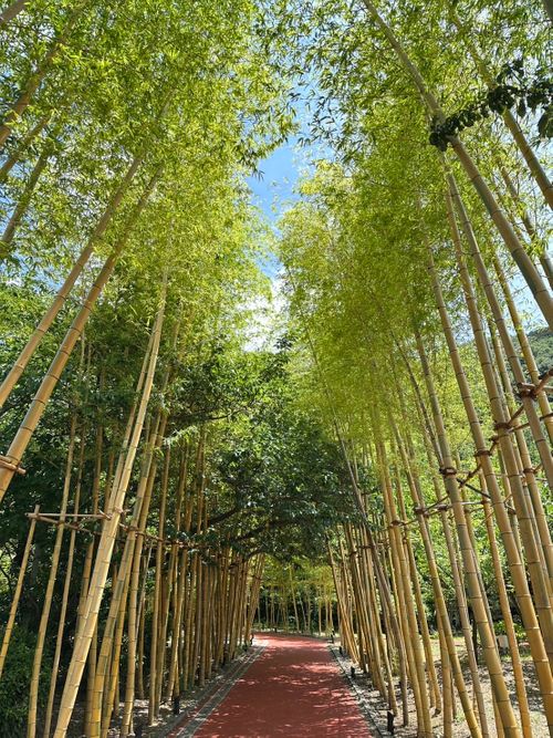 №80 キャンプ・ベアード ファミリーキャンプ 区画サイト 1711_Campさんのキャンプブログ CAMPiii（キャンピー） -キャンプ専用SNS キャンプのすべてがここに集まる-