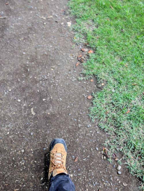 夏の栄養を補給しに♪ 府中市郷土の森公園 ソロキャンプ 好々爺🇯🇵さんのキャンプブログ CAMPiii（キャンピー） -キャンプ専用SNS キャンプのすべてがここに集まる-