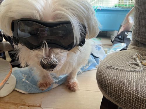 CAMPiii（キャンピー） ちろ犬さんのキャンプブログ エピローグ　 埼玉県