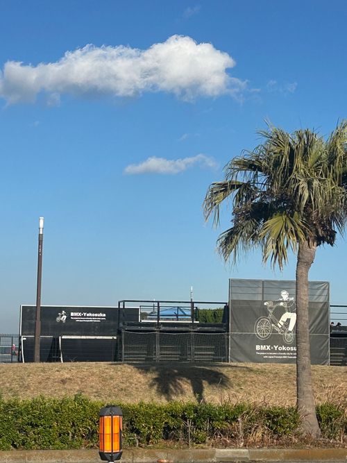 東京湾に残された唯一の自然島にてチェアリング 猿島 ソロキャンプ フリーサイト Genさんのキャンプブログ CAMPiii（キャンピー） -キャンプ専用SNS キャンプのすべてがここに集まる-