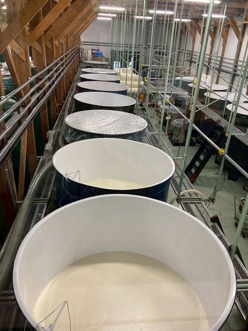 富士山キャンプと新倉浅間公園 朝霧Camp Base そらいろキャンプ場（フリーサイト・区画サイト・電源区画サイト） ファミリーキャンプ フリーサイト Kojiさんのキャンプブログ CAMPiii（キャンピー） -キャンプ専用SNS キャンプのすべてがここに集まる-