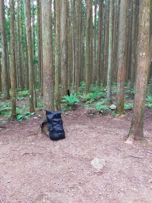 泉の森 避暑地 泉の森オートキャンプ場 小広荘 ソロキャンプ 区画サイト おっとまんSさんのキャンプブログ CAMPiii(キャンピー) -キャンプ専用SNS キャンプのすべてがここに集まる-