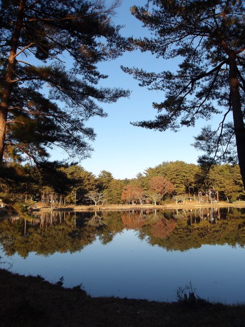 ２年ぶりの開催🤣 せらにし青少年旅行村 ファミリーキャンプ はやぷささんのキャンプブログ CAMPiii（キャンピー） -キャンプ専用SNS キャンプのすべてがここに集まる-