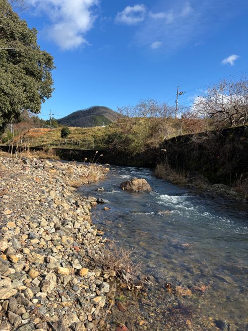 今年もお世話になりました！来年もたくさん遊んでくれぶーん！！ KAWAI VILLAGE CAMP ソロキャンプ 区画サイト とのさんのキャンプブログ CAMPiii（キャンピー） -キャンプ専用SNS キャンプのすべてがここに集まる-