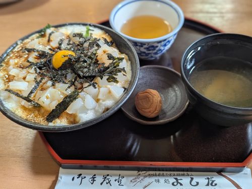 初福井！透明度抜群の海キャンプ 若狭和田キャンプ場 ソロキャンプ グループキャンプ 区画サイト ちあさんのキャンプブログ CAMPiii（キャンピー） -キャンプ専用SNS キャンプのすべてがここに集まる-