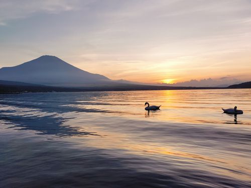 夕日と白鳥と富士山と 湖山荘キャンプ場 ファミリーキャンプ 区画サイト オートサイト まささんのキャンプブログ CAMPiii(キャンピー) -キャンプ専用SNS キャンプのすべてがここに集まる-