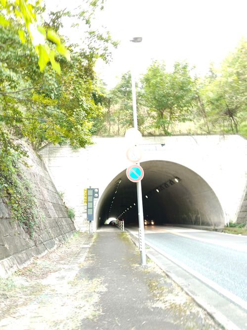 失敗ばかりでもええんよ 山八キャンプ場 ソロキャンプ フリーサイト おっとまんSさんのキャンプブログ CAMPiii（キャンピー） -キャンプ専用SNS キャンプのすべてがここに集まる-