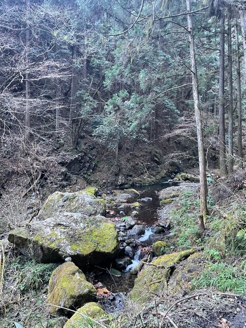 今年の締めキャン！徒歩ソロで行く大岳キャンプ場。徒歩の限界と大トラブルの旅 大岳キャンプ場 上流サイト ソロキャンプ フリーサイト ma9さんのキャンプブログ CAMPiii（キャンピー） -キャンプ専用SNS キャンプのすべてがここに集まる-
