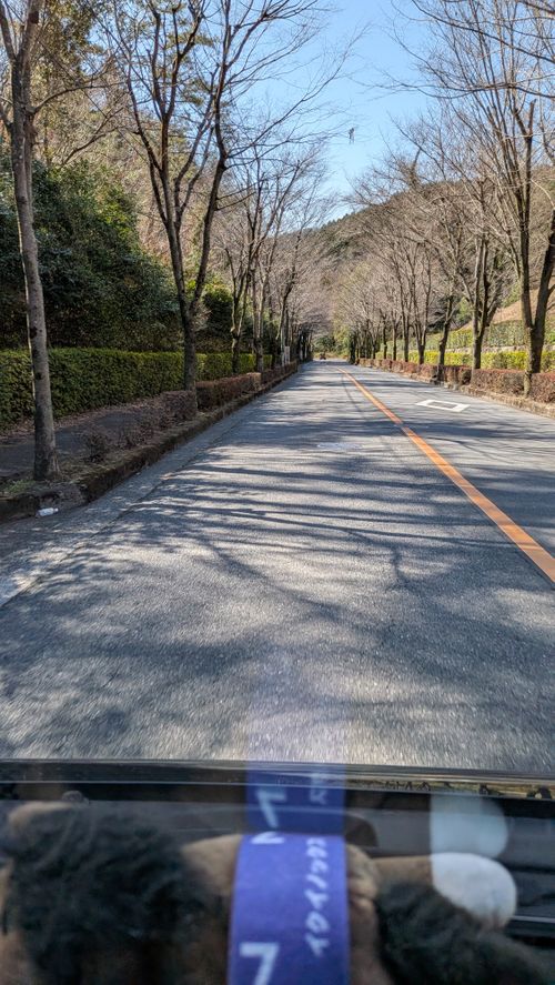 山散歩キャンプ ともえ川Park グループキャンプ 区画サイト オートサイト IZUIZUさんのキャンプブログ CAMPiii（キャンピー） -キャンプ専用SNS キャンプのすべてがここに集まる-