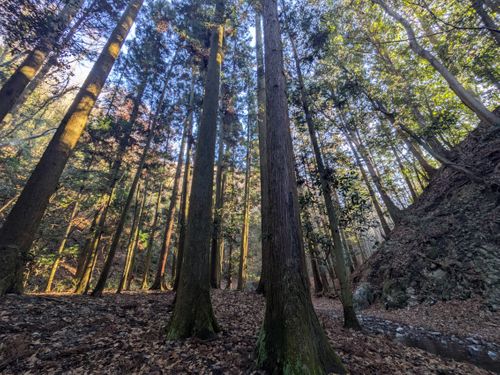 年末キャンプ🏕️ 大阪府 ソロキャンプ フリーサイト ぞのさんさんのキャンプブログ CAMPiii（キャンピー） -キャンプ専用SNS キャンプのすべてがここに集まる-