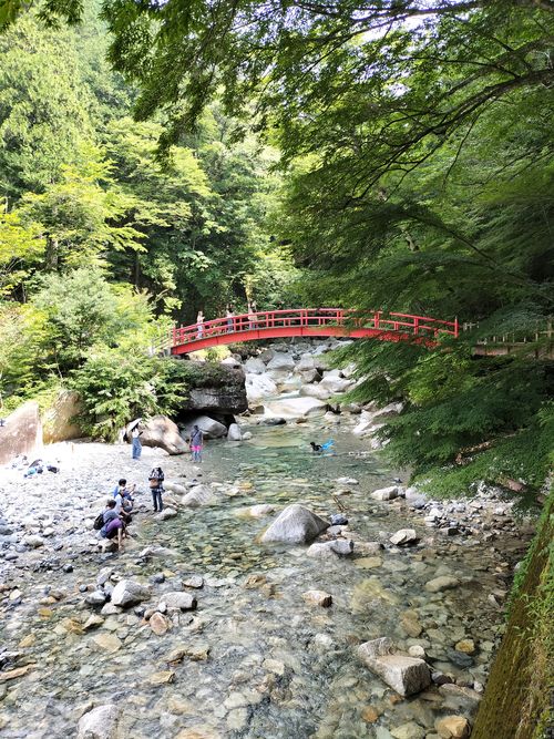 お医者様に外出はOKだと言われてたので 田立の滝オートキャンプ場 ソロキャンプ グループキャンプ 区画サイト オートサイト たかたかぽんたさんのキャンプブログ CAMPiii(キャンピー) -キャンプ専用SNS キャンプのすべてがここに集まる-