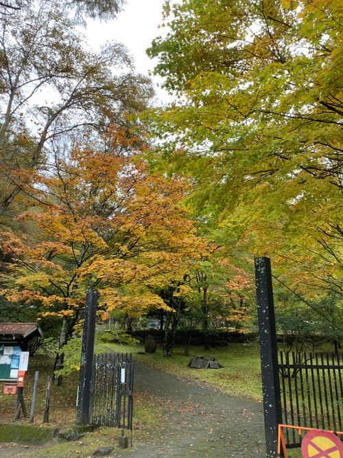 Vol.105 25/NO.24 笛吹小屋キャンプ場〜中津峡〜〆ホルモン屋‼️ 笛吹小屋キャンプ場 ソロキャンプ 区画サイト 🔥焚き火🔥さんのキャンプブログ CAMPiii(キャンピー) -キャンプ専用SNS キャンプのすべてがここに集まる-