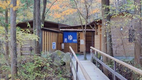 紅葉狩り 日光・まなかの森 キャンプ＆スパリゾート ソロキャンプ グループキャンプ 区画サイト まーささんのキャンプブログ CAMPiii（キャンピー） -キャンプ専用SNS キャンプのすべてがここに集まる-