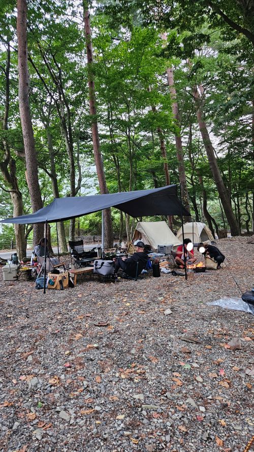 とりあえず250踏んどく(標高約910m)(オートサイト区画、2区画6人6台ー2620円/人) 本栖湖いこいの森キャンプ場 グループキャンプ 区画サイト オートサイト IZUIZUさんのキャンプブログ CAMPiii(キャンピー) -キャンプ専用SNS キャンプのすべてがここに集まる-