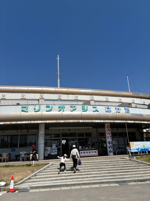 2026年5回目、イルカキャン🐬 ドルフィンファームしまなみ ファミリーキャンプ 区画サイト オートサイト わいげさんのキャンプブログ CAMPiii（キャンピー） -キャンプ専用SNS キャンプのすべてがここに集まる-